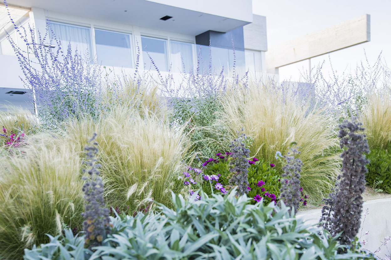 Imatge del projecte %s