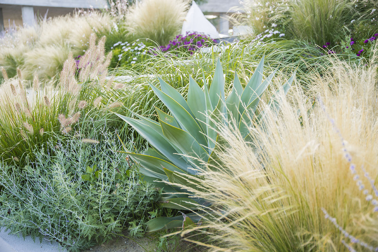 Imatge del projecte %s