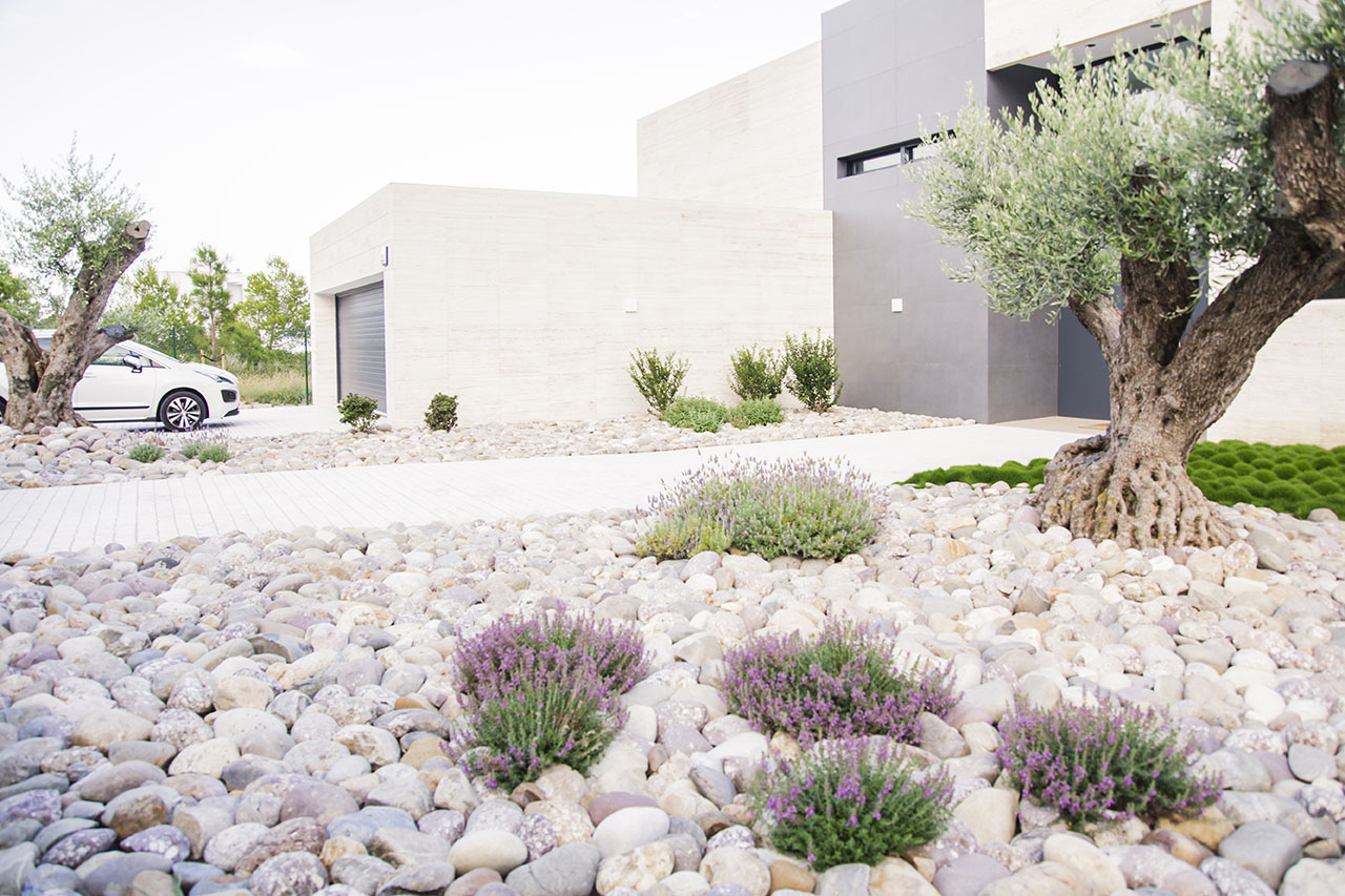 Imatge del projecte %s