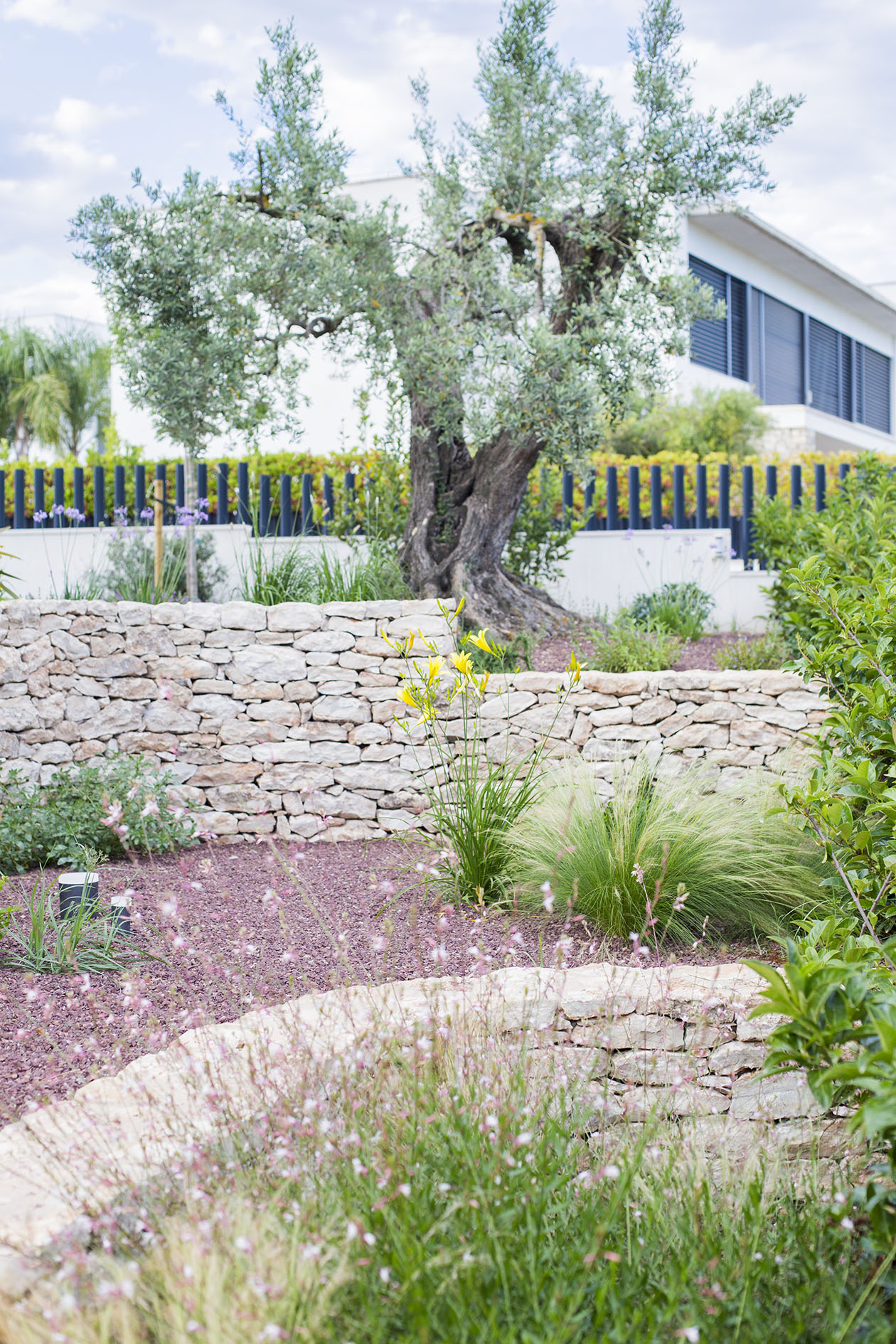 Imatge del projecte %s