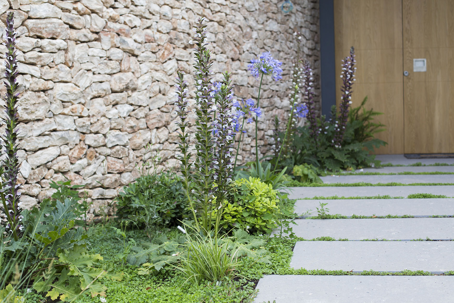 Imatge del projecte %s