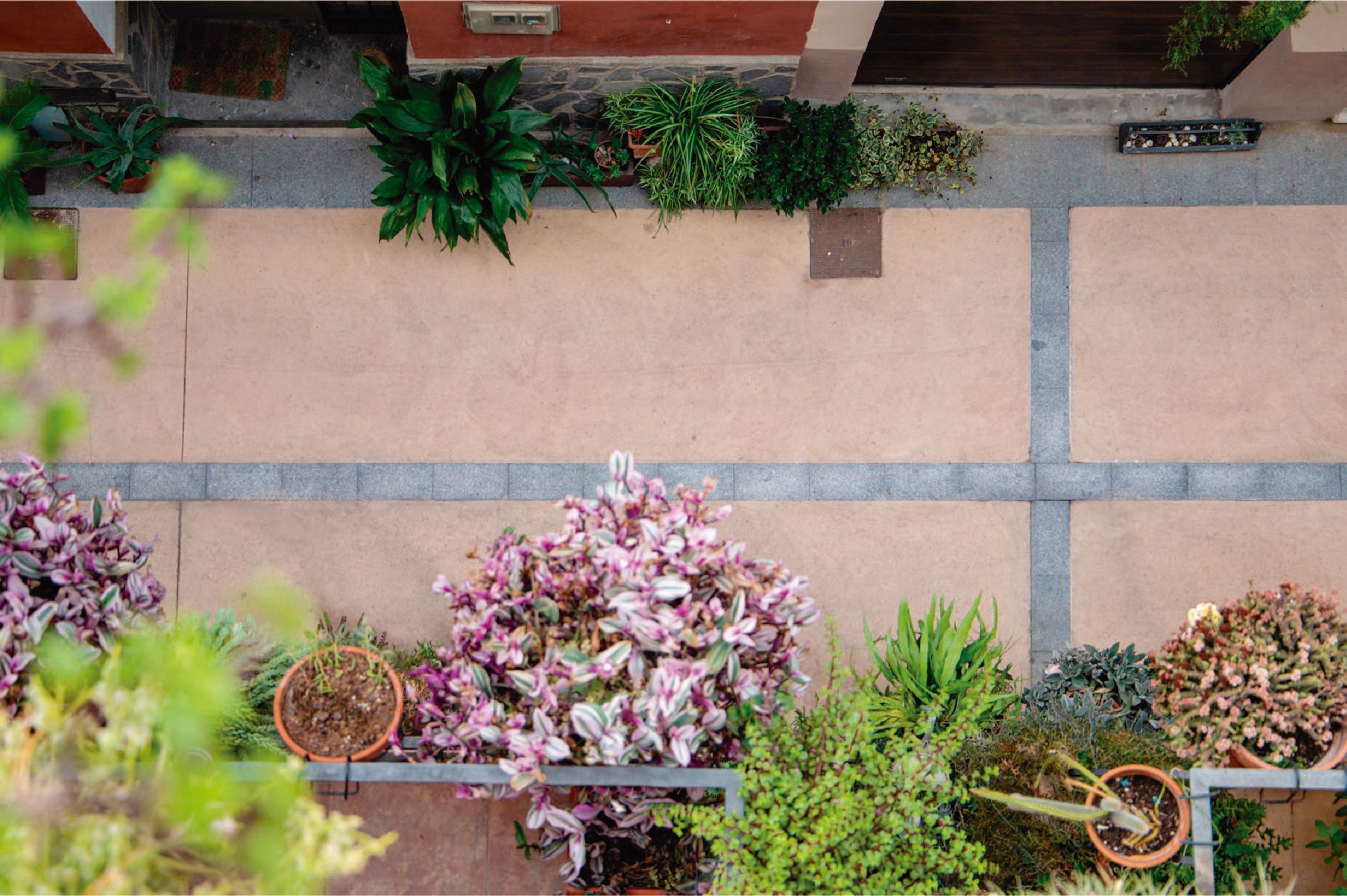 Imatge del projecte %s