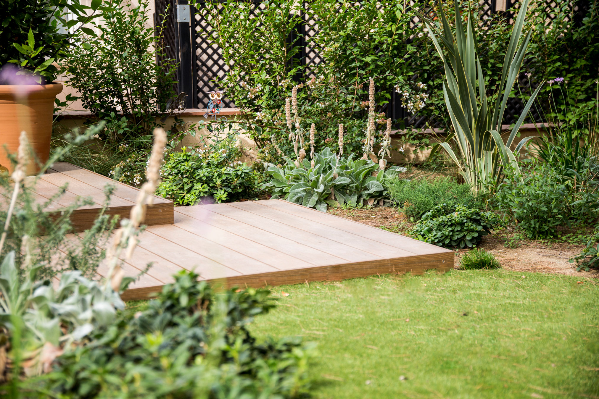 Imatge del projecte %s