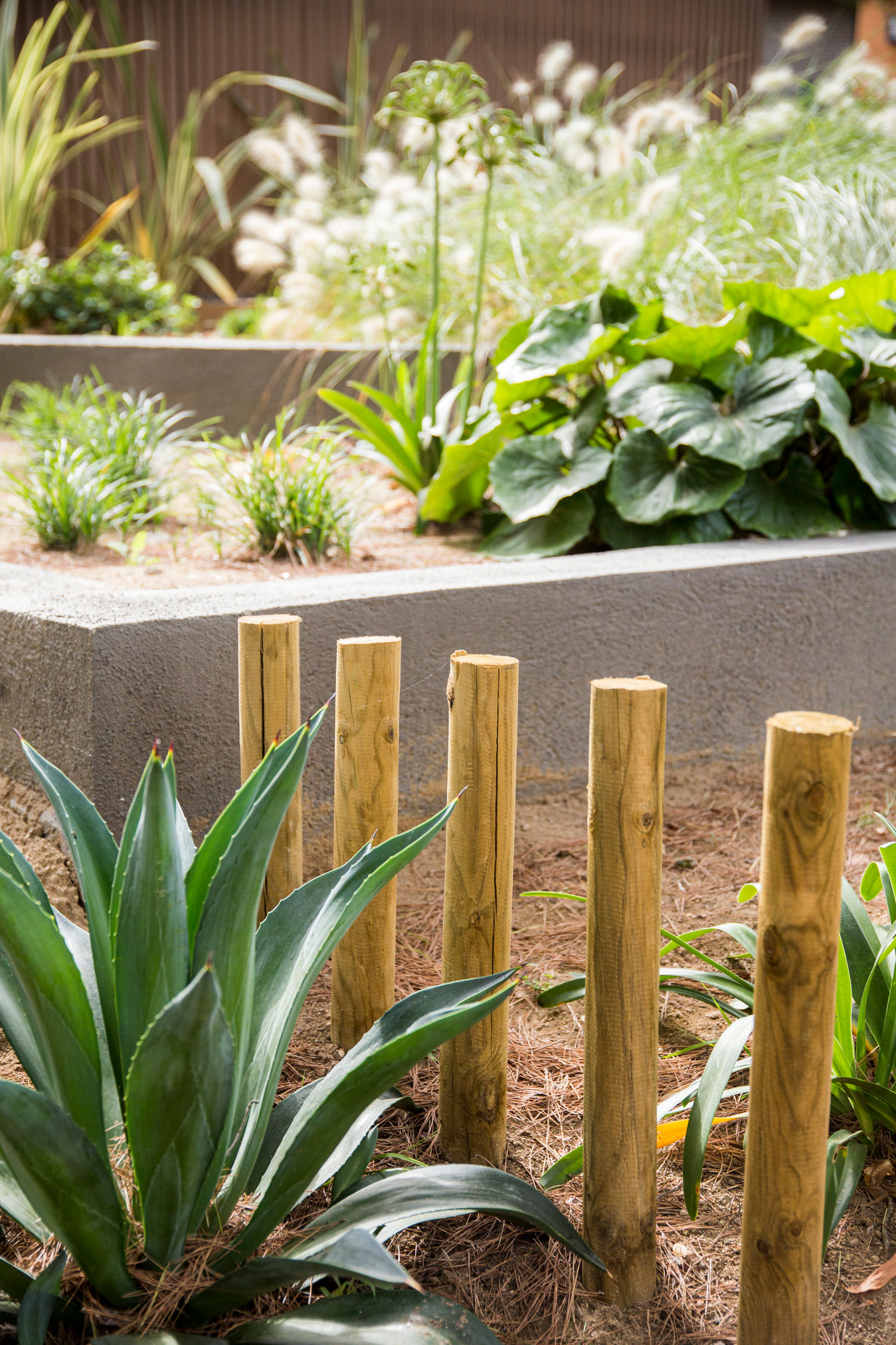 Imatge del projecte %s