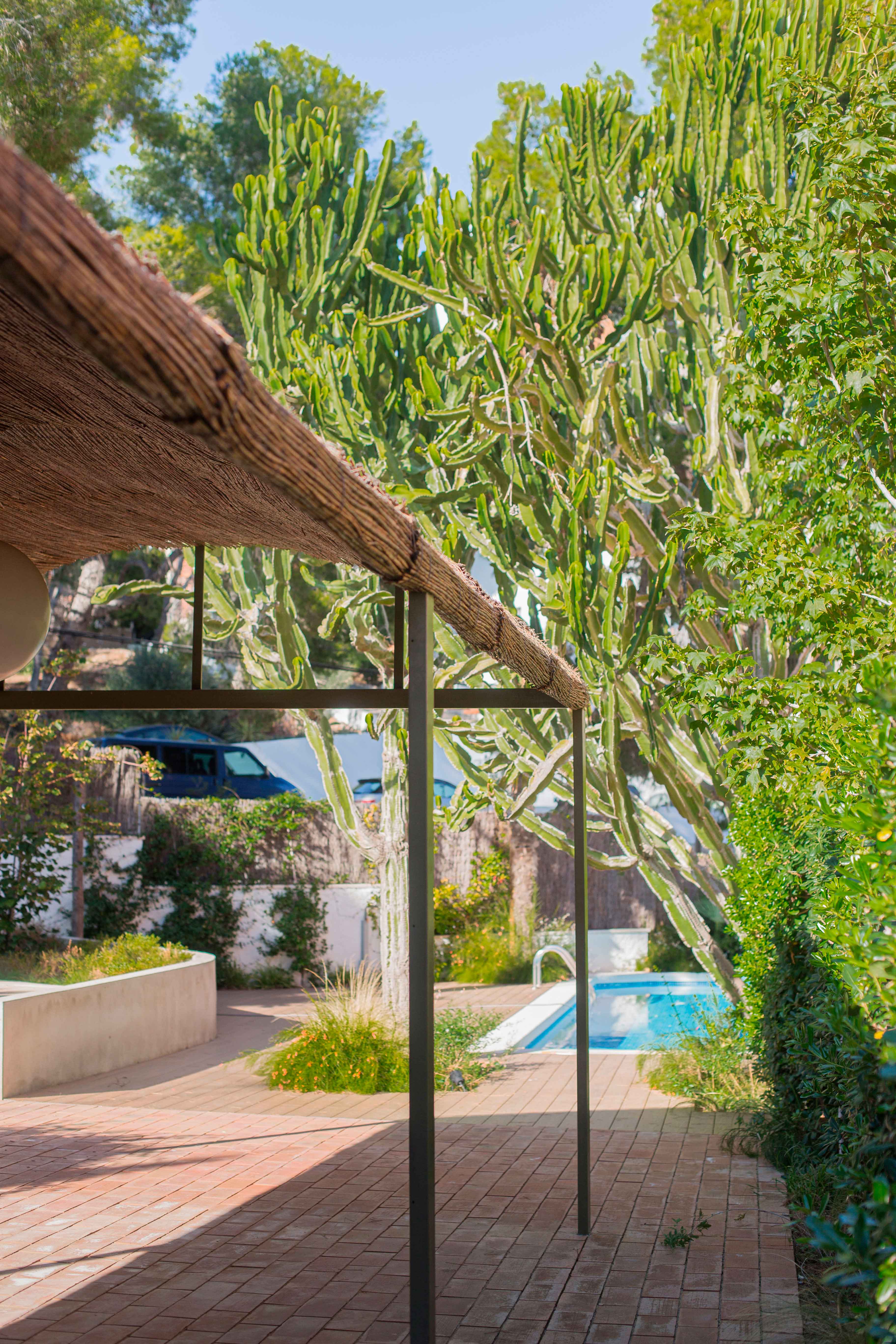 Imatge del projecte %s