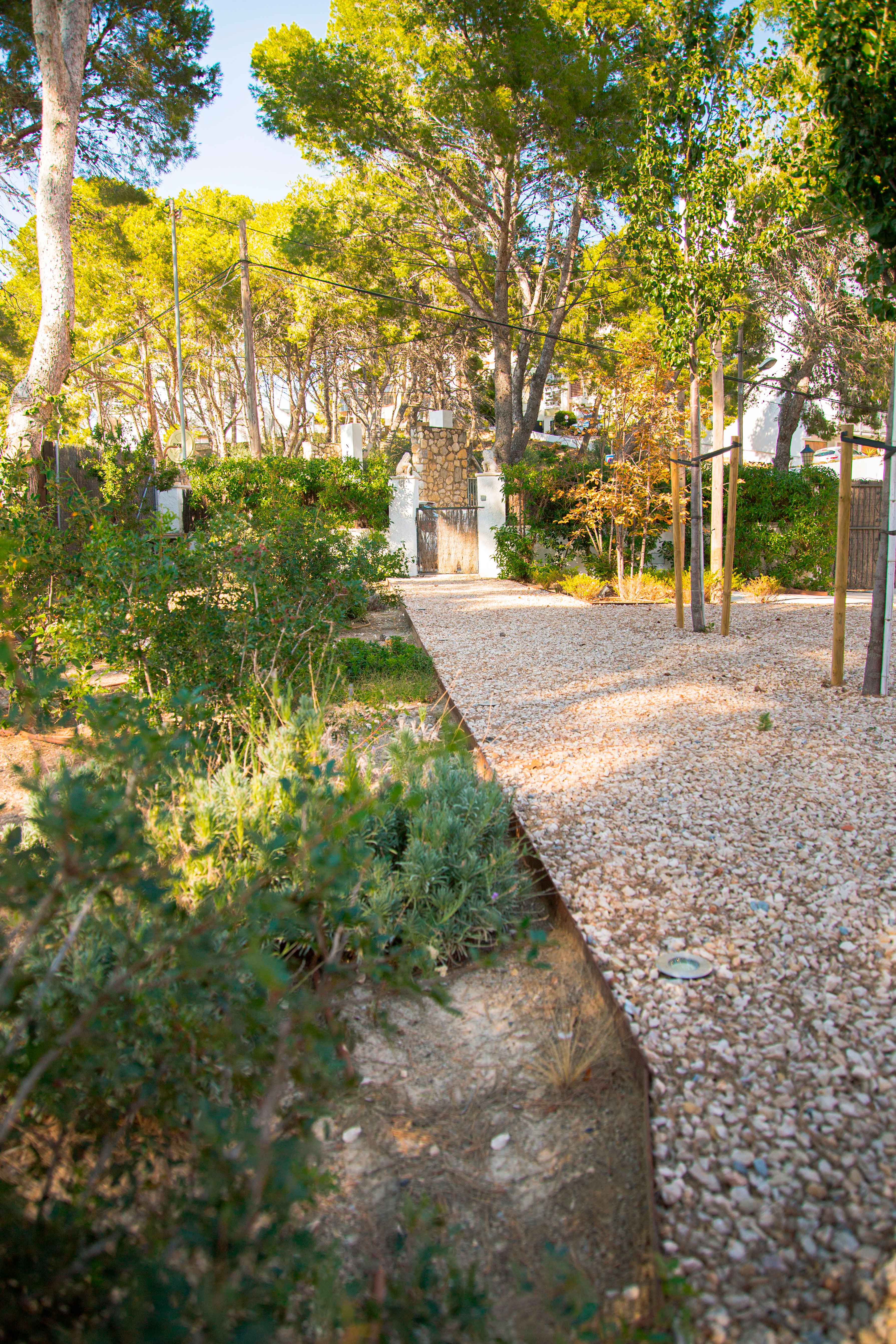 Imatge del projecte %s