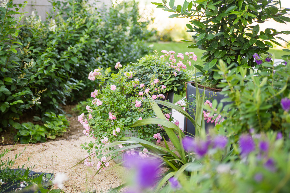 Imatge del projecte %s