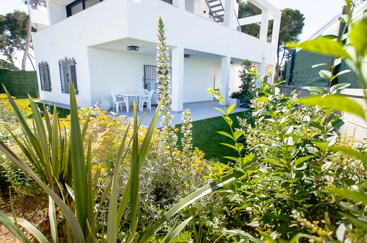 Imatge del projecte %s