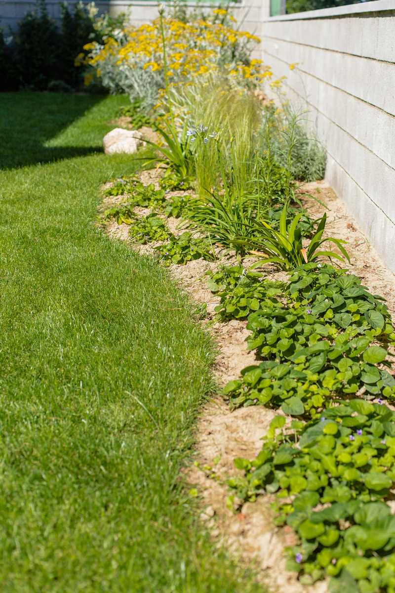 Imatge del projecte %s