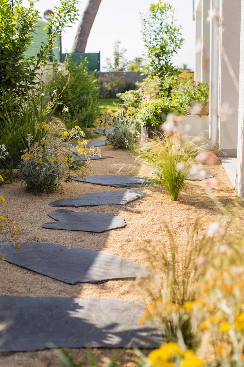 Imatge del projecte %s