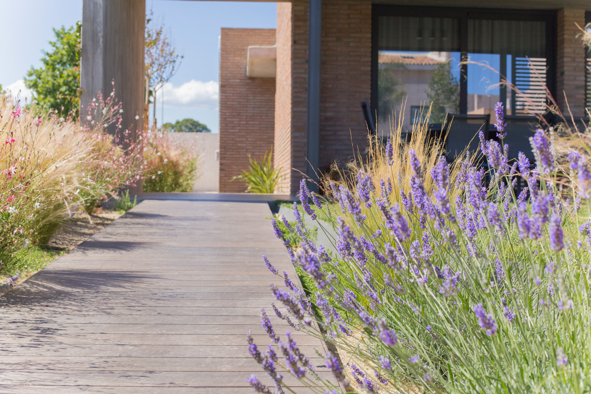 Imatge del projecte %s