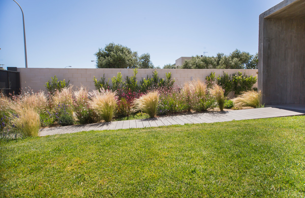 Imatge del projecte %s