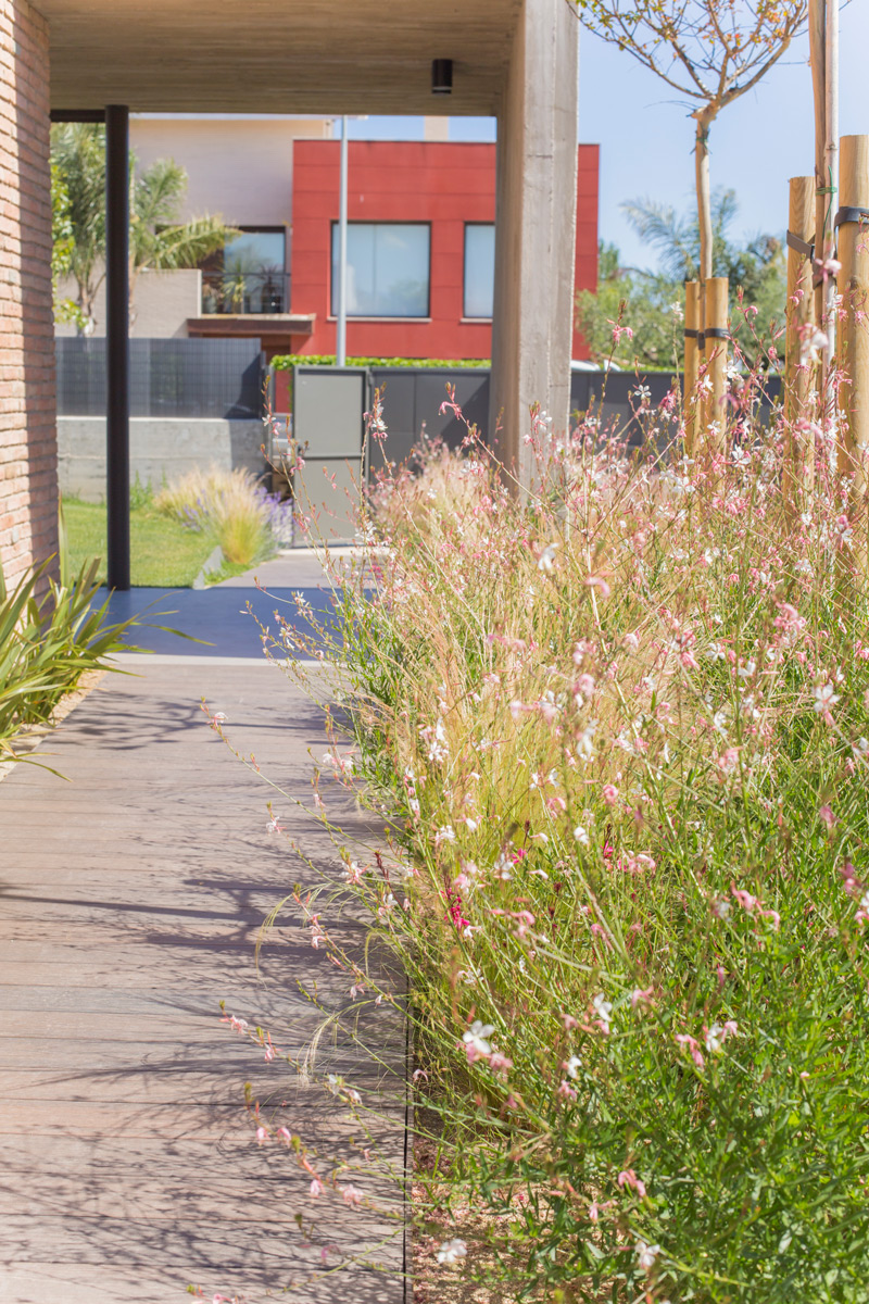 Imatge del projecte %s