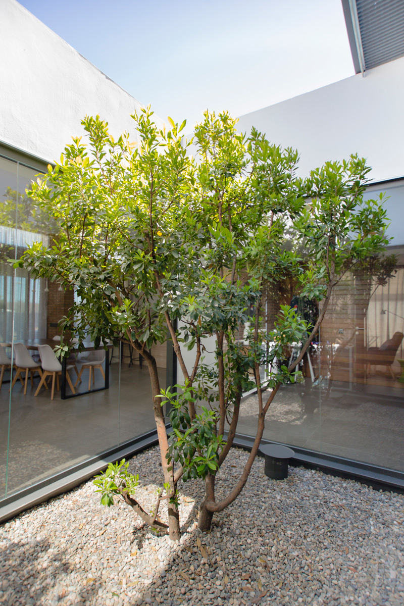 Imatge del projecte %s