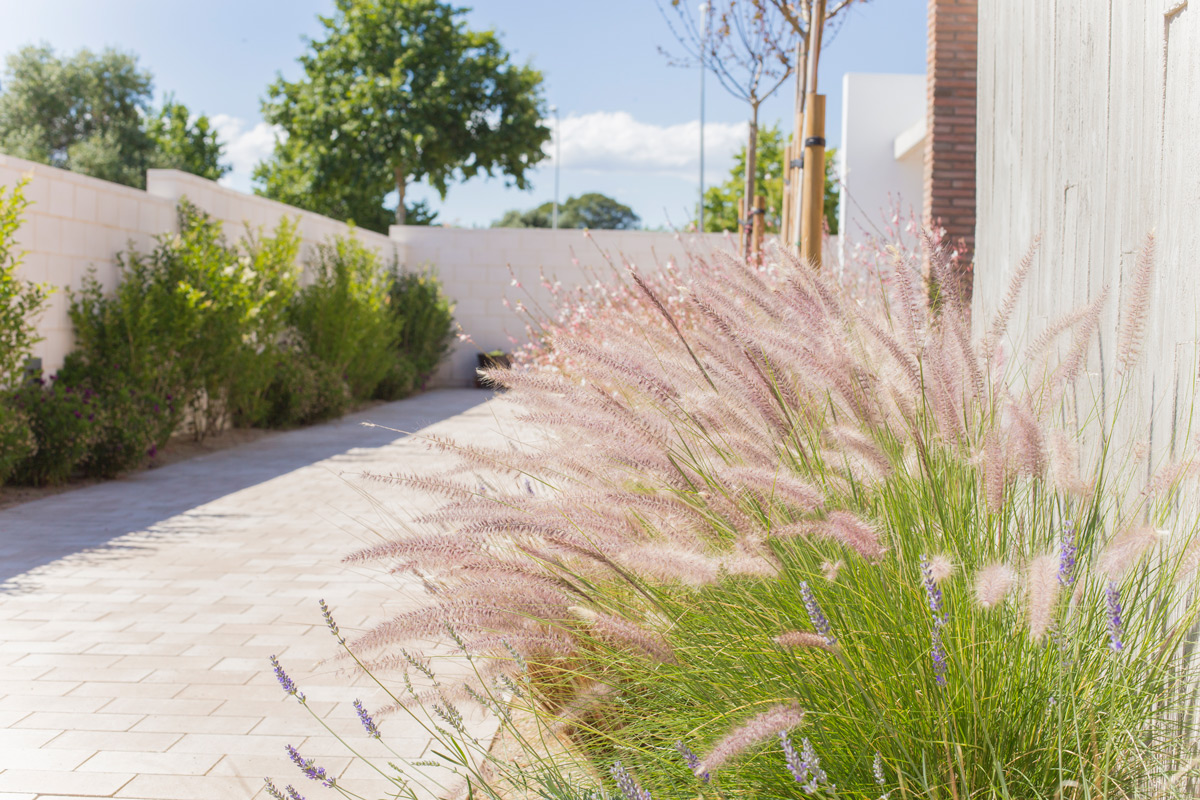 Imatge del projecte %s