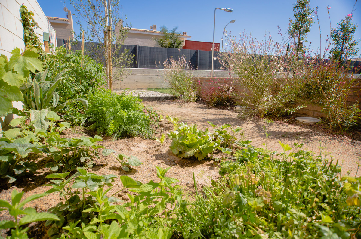 Imatge del projecte %s